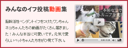 みんなのイフ投稿動画集