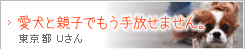 愛犬と親子でもう手放せません。