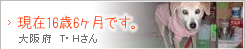 現在16歳6ヶ月です。